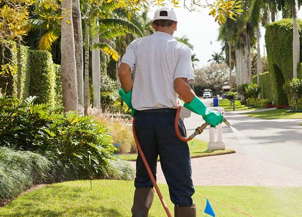 About Tallapoosa GA Pest Control Pros